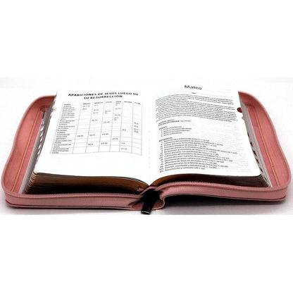 1960 Women's Bible, 11pt Large Print